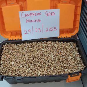 BUY GOLD NUGGETS TODAY